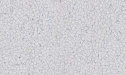 Sàn Vinyl Tĩnh Điện ADF M802