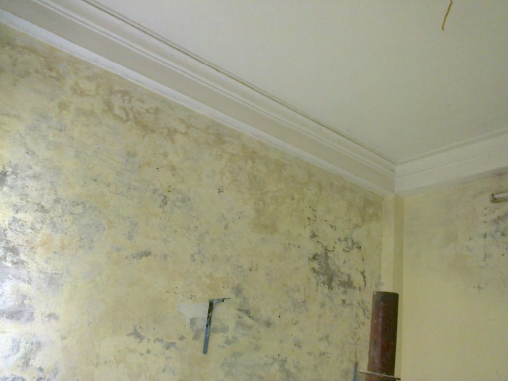 Tường bị thấm, mốc do nước – hiện trạng trước khi ốp tấm nhựa chống ẩm .