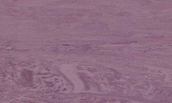 Sàn Nhựa Vinyl Gerflor 2026 Mipolam 180