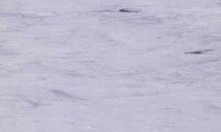 Sàn Nhựa Vinyl Gerflor 2029 Mipolam 180